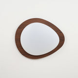 Nature Inspired Ceiling Light for Living Room