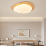 Ceiling Light Organic Pebble Design