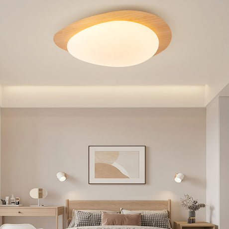 Ceiling Light Organic Pebble Design