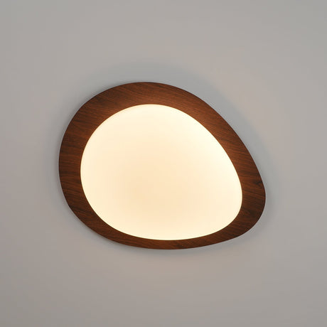 Ceiling Light Organic Pebble Design