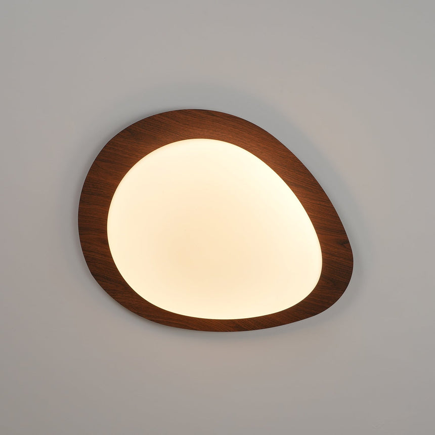 Ceiling Light Organic Pebble Design