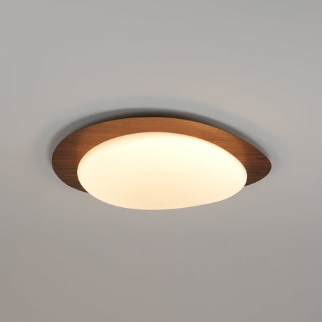 Nature Inspired Ceiling Light for Living Room