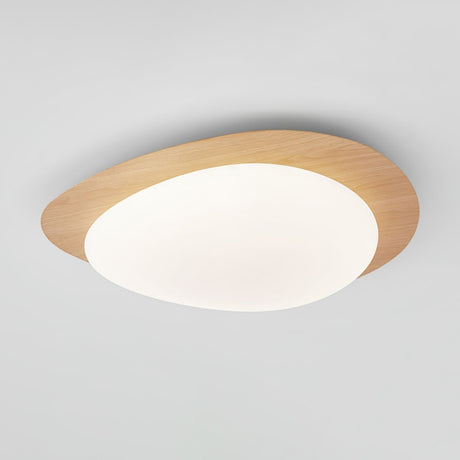Metal Acrylic Ceiling Light Fixture