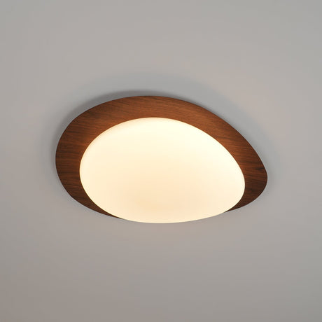 Metal Acrylic Ceiling Light Fixture