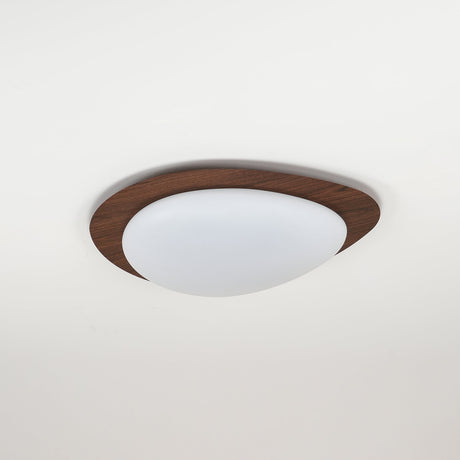 Nature Inspired Ceiling Light for Living Room