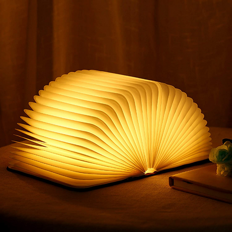 LyraLeaf Lamp Rechargeable Battery USB Charging