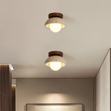 Wood Accent Ceiling Light Modern Fixture