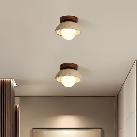 Wood Accent Ceiling Light Modern Fixture
