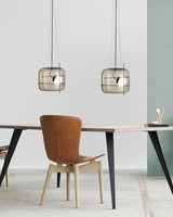 Contemporary Pendant Lamp for Modern Homes OpalDwell