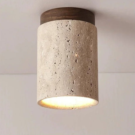 Ceiling Light for Natural Home Decor