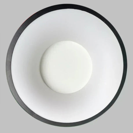 Ceiling light with easy mounting accessories