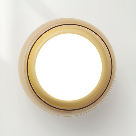 Ceiling Light for Living Room Warm Glow