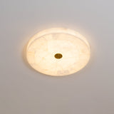 Dimmable LED Ceiling Light Warm Light