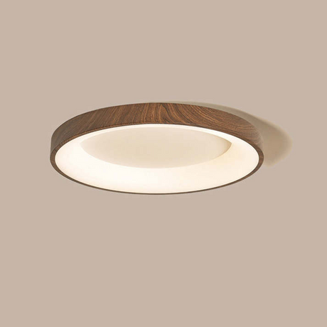 Ceiling light with warm LED ambience for homes