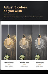 Gold Round Pendant Light Overhead Perspective View - OpalDwell