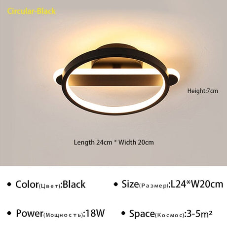 Ceiling Light Close-Up View