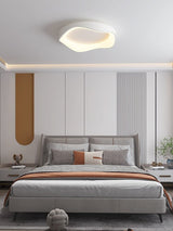 Virelli Ceiling and Wall Light Iron and Acrylic Design