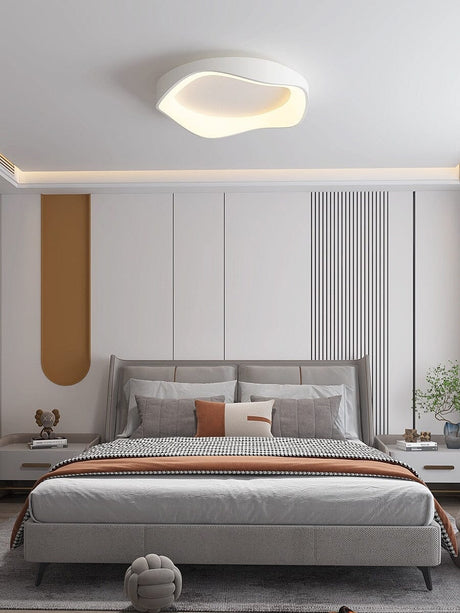 Virelli Ceiling and Wall Light Iron and Acrylic Design