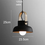 Liora Pendant Light Full Product View | OroDwell