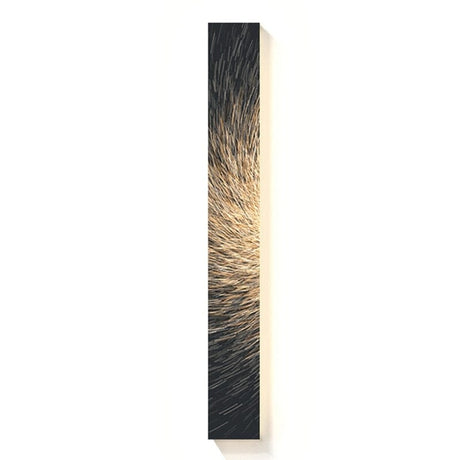 Wall Lamp for Home Decor Enthusiasts
