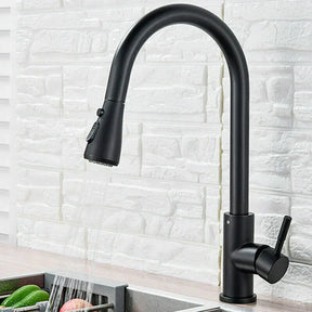 Black kitchen faucet installed on countertop