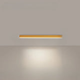 Minimal ceiling fixture for restaurant lighting