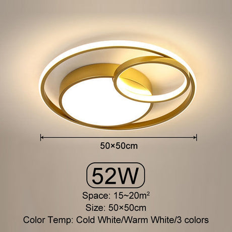Contemporary Ceiling Light for Living Room