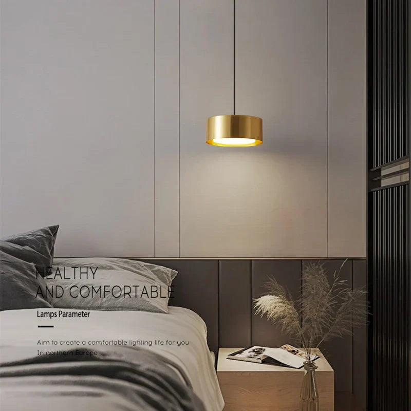 Sleek shadeless acrylic pendant light fixture