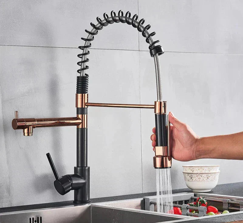Dual-Spout Pull-Out Kitchen Faucet