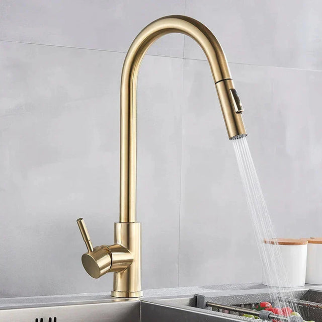 AeroFlow 360 Swivel Kitchen Faucet Chrome