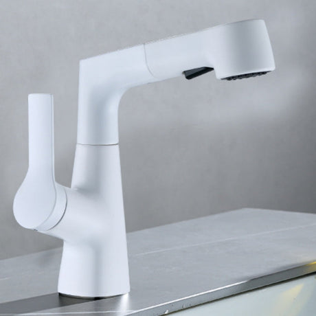 Kitchen Faucet Lift and Pull Detail