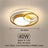 Ring Design Ceiling Light Detail