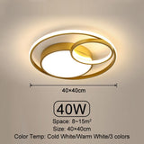 Ring Design Ceiling Light Detail