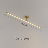 LED Ceiling Light for Entrance and Foyer Decor