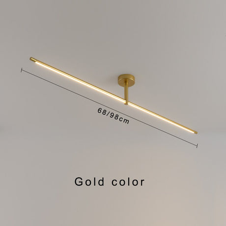 LED Ceiling Light for Entrance and Foyer Decor