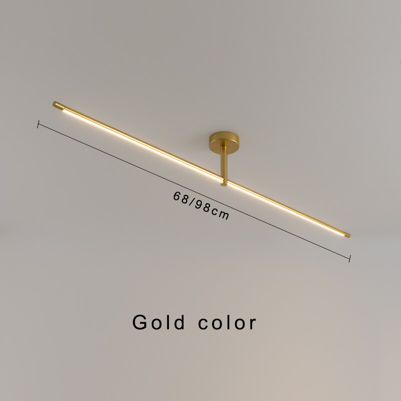 LED Ceiling Light for Entrance and Foyer Decor
