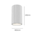 Resin Pendant Light Ceiling Fixture Painted Finish