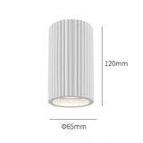 Resin Pendant Light Ceiling Fixture Painted Finish