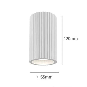 Resin Pendant Light Ceiling Fixture Painted Finish