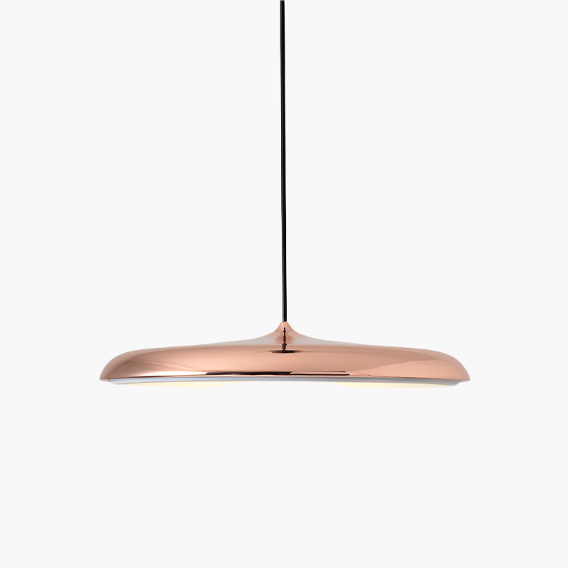 Ring silhouette pendant light detail view