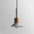 Pendant Light for Living Room Ceiling Accent