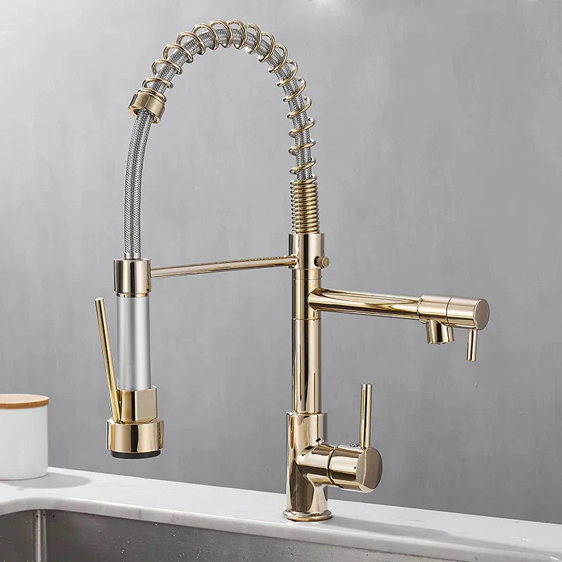 Dual Spout Kitchen Faucet Black and Gold