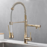 LumaFlow Dual Spout Kitchen Faucet Black and Gold