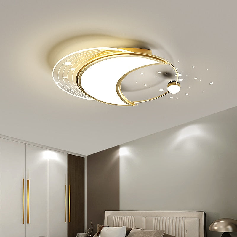 Gold and Black Ceiling Light Color Options