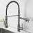 Dual Spout Faucet Additional Angle