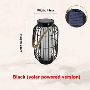 Solar garden light with carrying handle