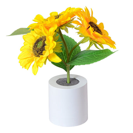 Cordless USB rechargeable table lamp