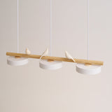 LyraNest Bird Pendant Light Nature Inspired Lamp For Home OpalDwell