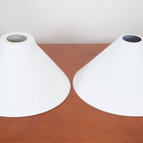 AstraVex Pendant Light for Zya Style Interiors