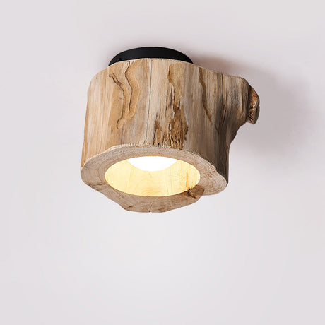Hollow Log Ceiling Light Close-Up Detail OpalDwell